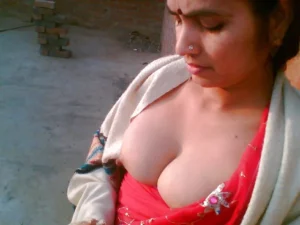 desi Punjabi Bhabhi boobs